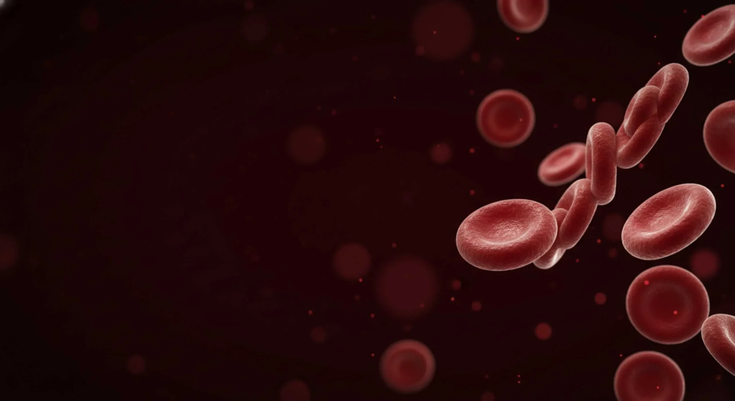 రక్తంలో హిమోగ్లోబిన్ (Hemoglobin) శాతాన్ని సహజంగా పెంచుకోవడం ఎలా?